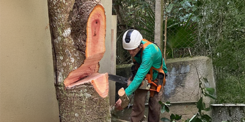 Icones Granja Verde (1)