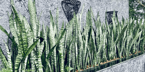 Icones Granja Verde (2)